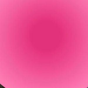 Meet your Posher, Lilly